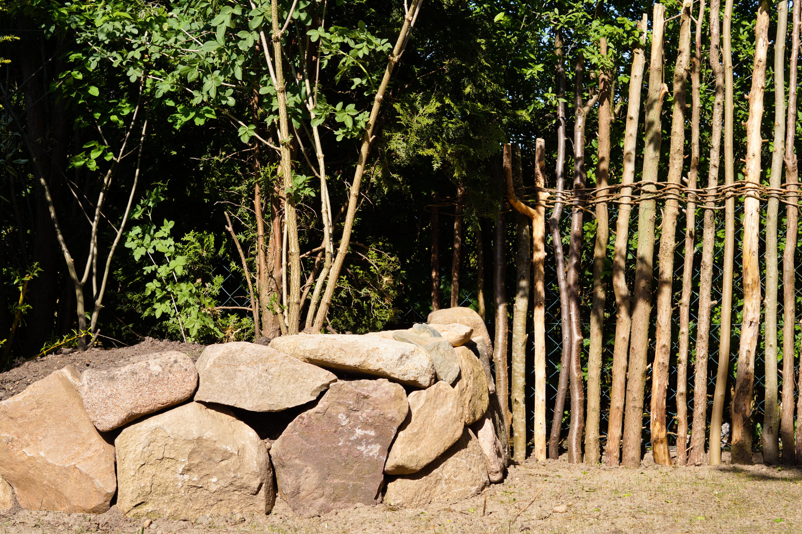 plantas-que-crecen-en-el-patio