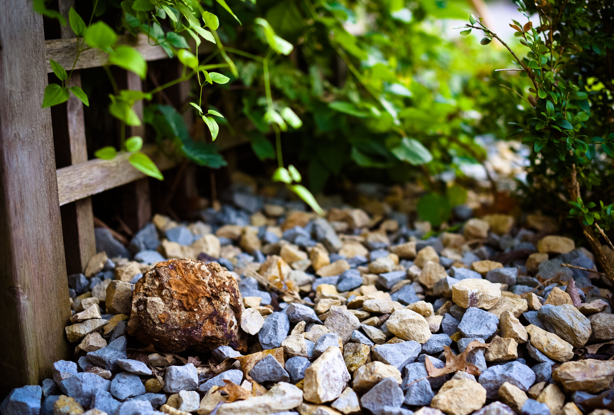 primer-plano-de-los-guijarros-en-la-roca